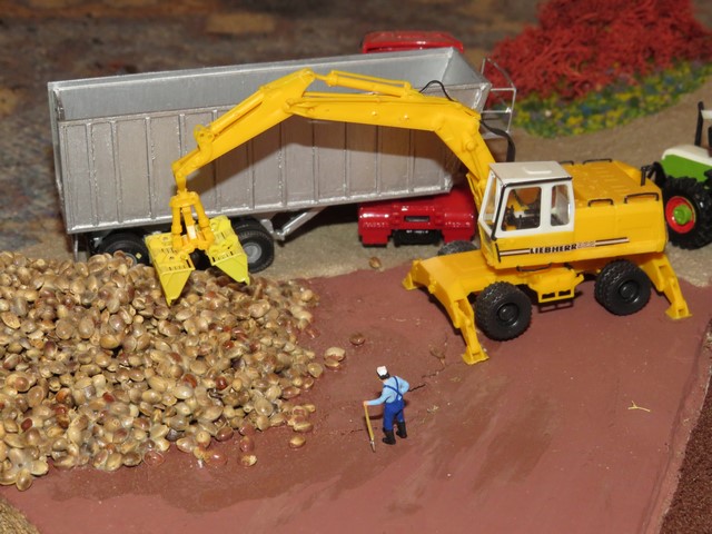 IMG_0608 (Copier).JPG