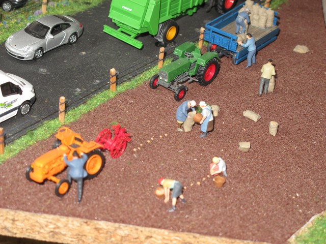 IMG_1065 (Copier).JPG