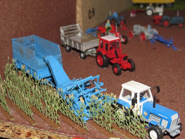 IMG_3217 (Copier).JPG