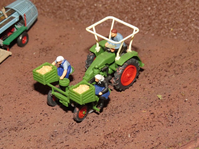 IMG_3222 (Copier).JPG