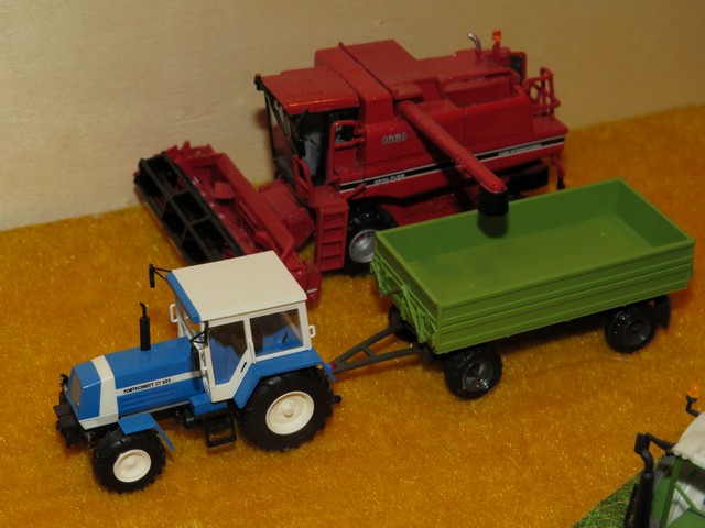 IMG_4368 (Copier).JPG