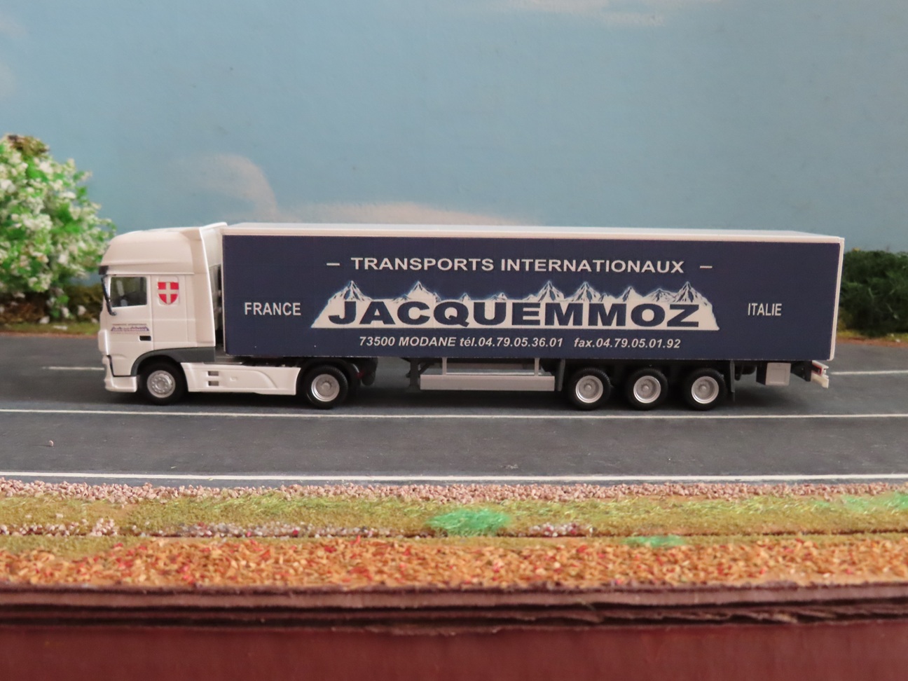 Jacquemoz-001 Paint.jpg