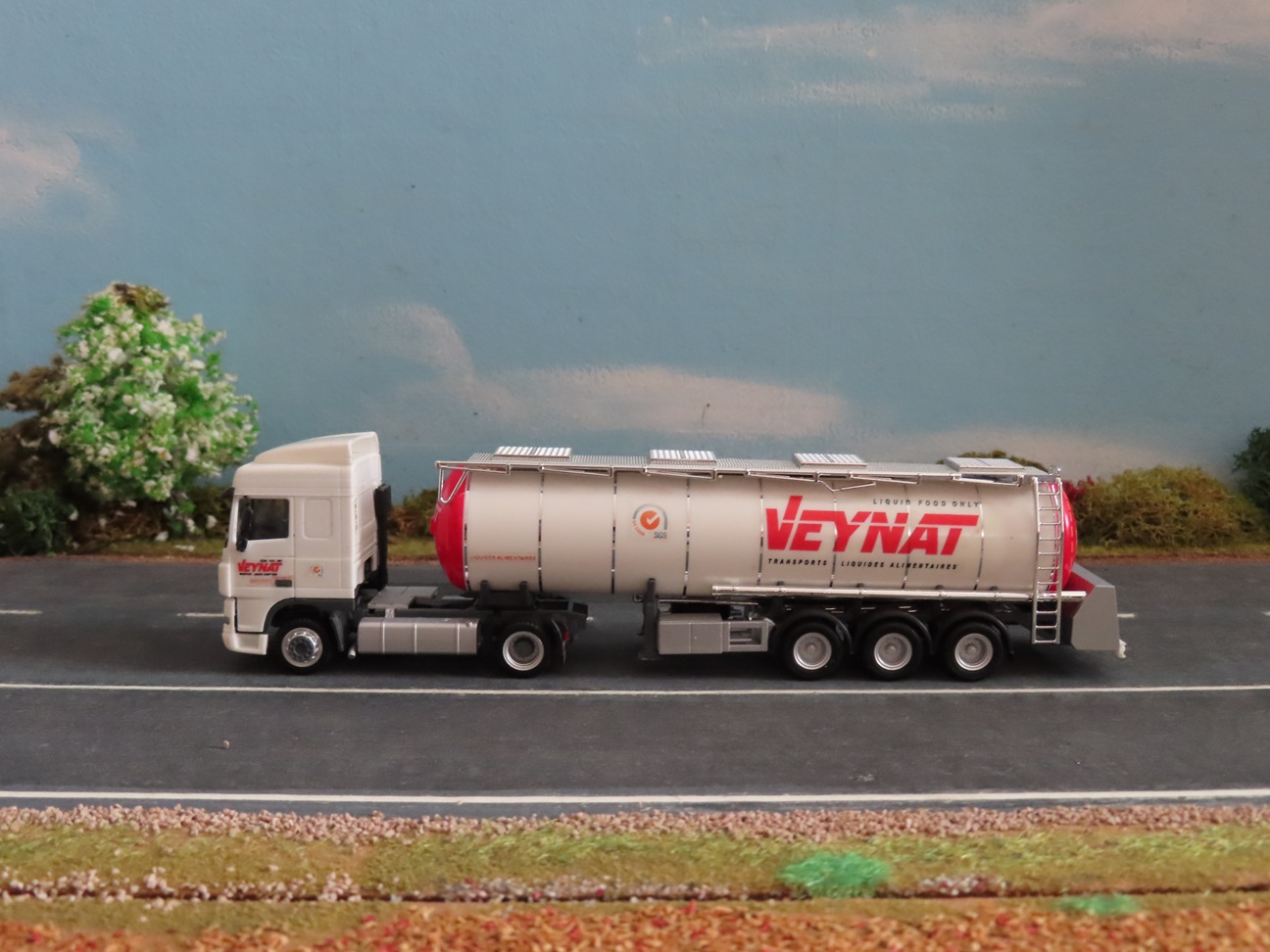 Veynat-001 Paint.jpg