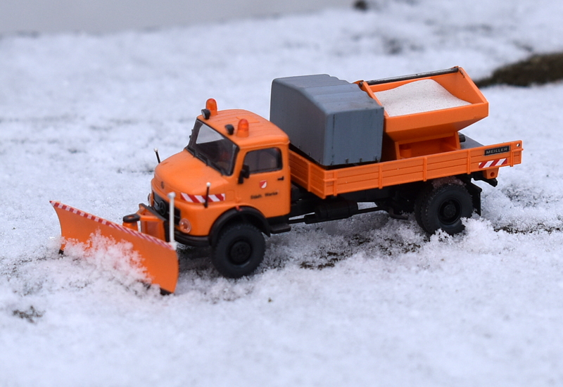 DSC_0394.JPG