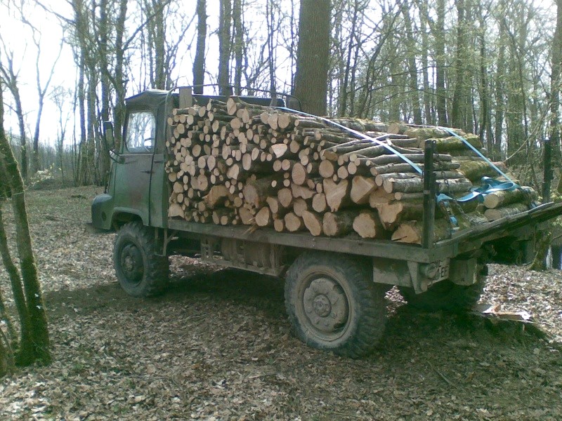 z5.jpg