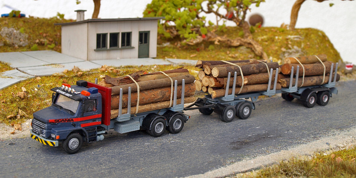 scania holz.jpg