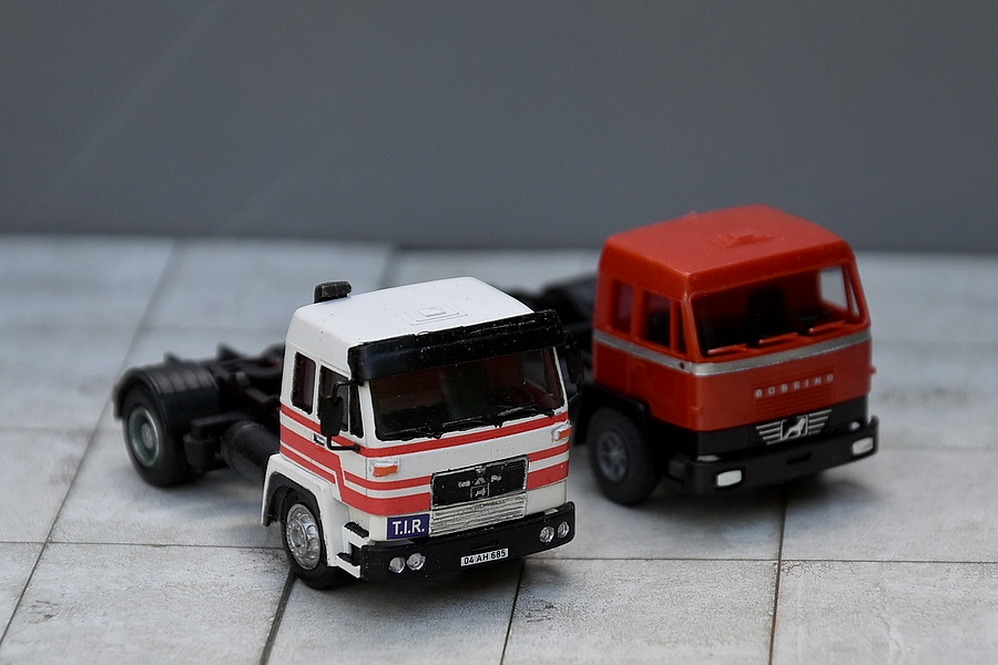 DSC_0810.JPG