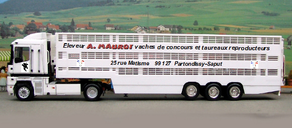 MAUROT.jpg