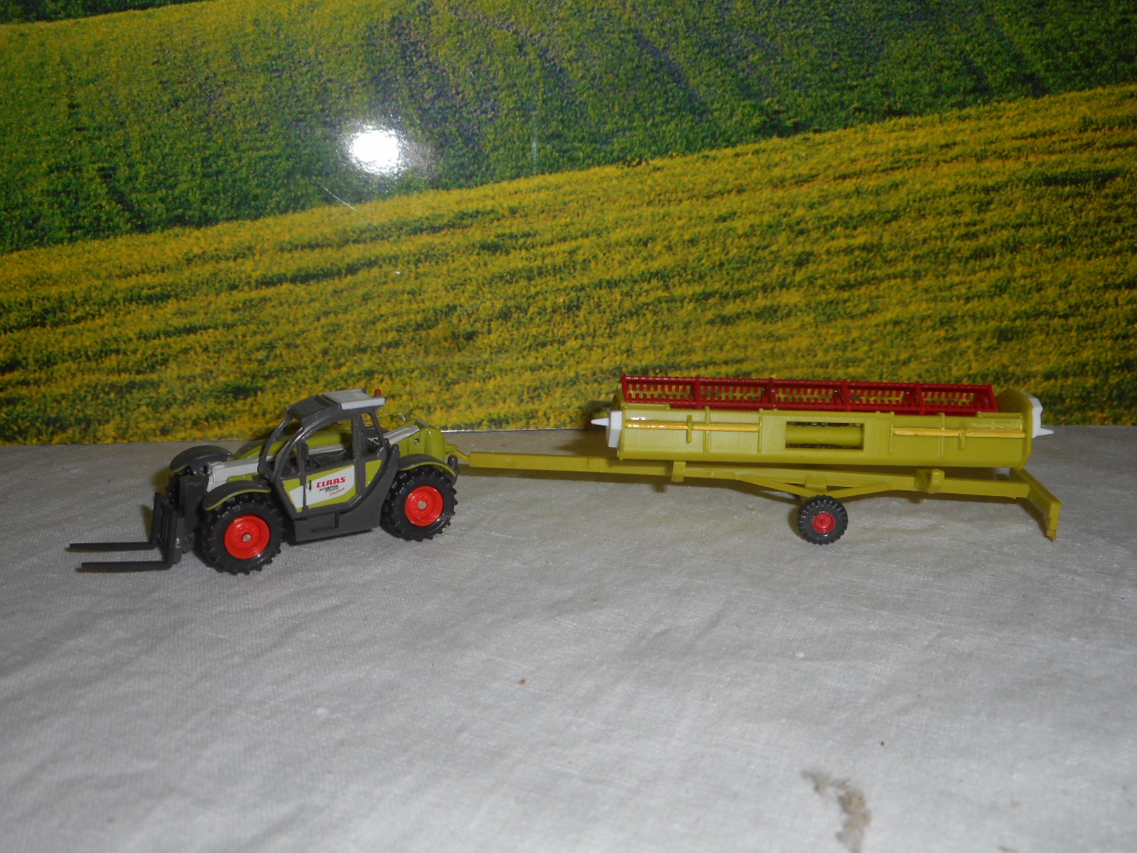 DSCN7786.JPG