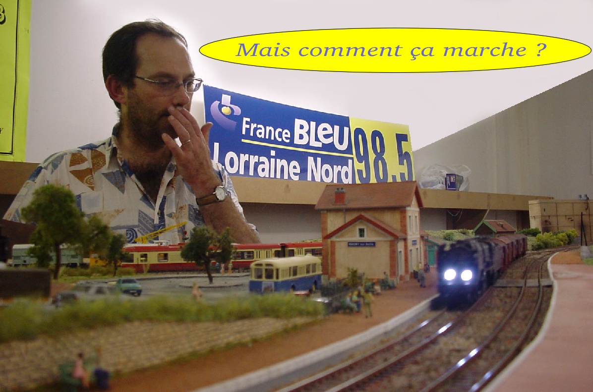 SALQUES comment ça marcheGraphique1.jpg