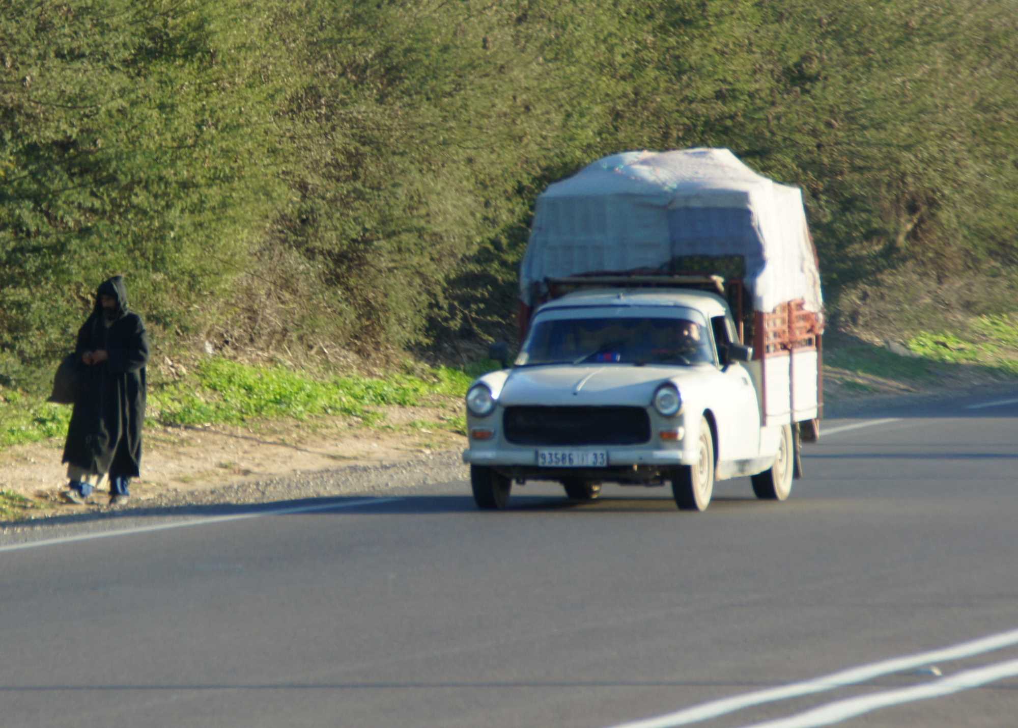 DSC09768.JPG