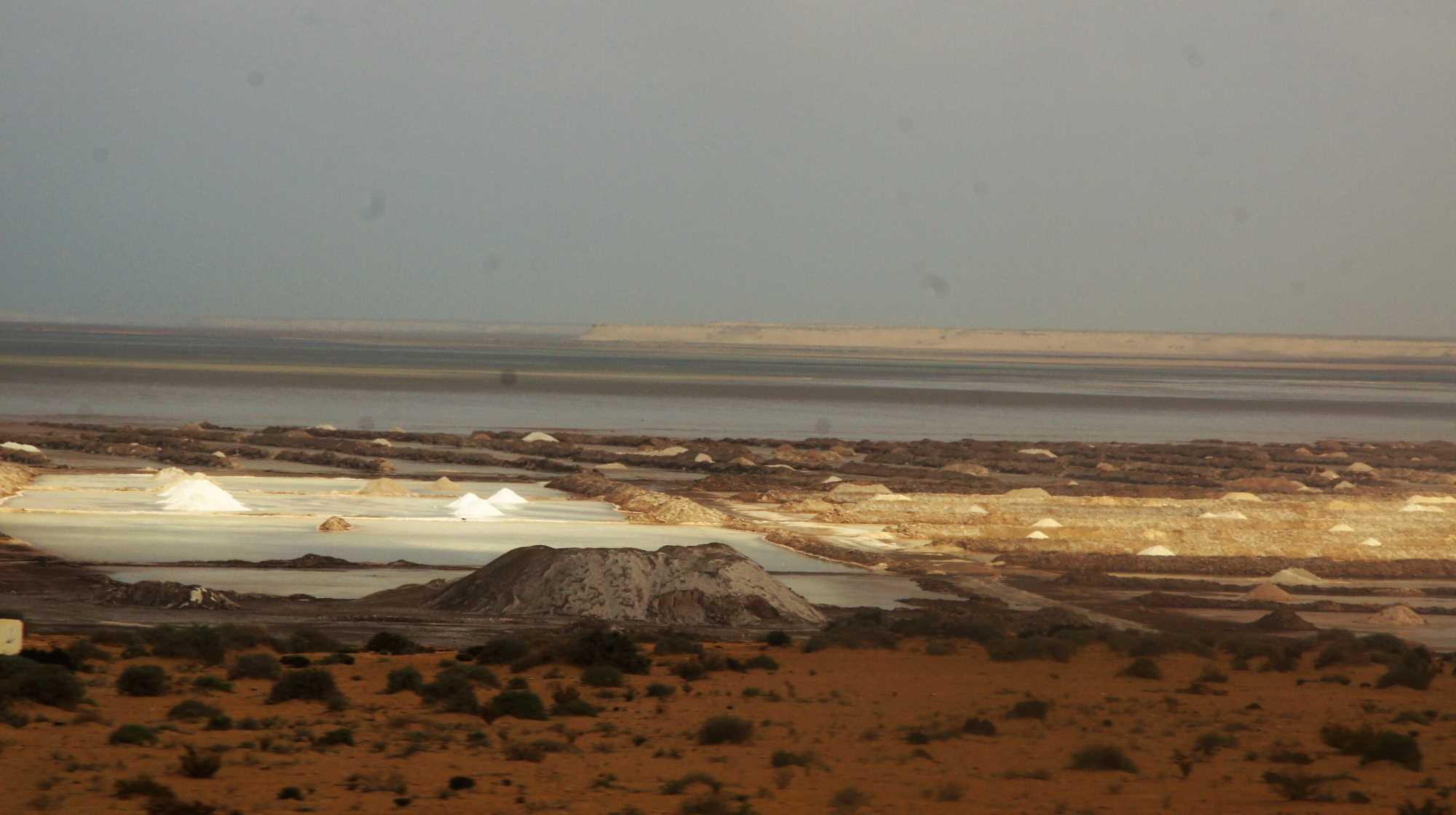 DSC09801.JPG