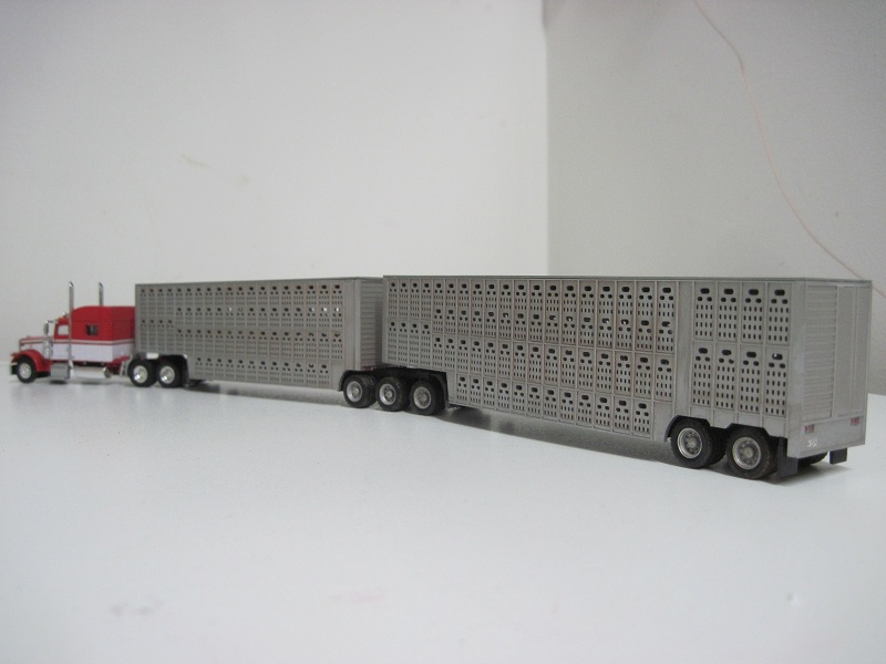 betaillere US FL 2012.JPG