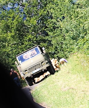 IMG_6361.JPG
