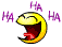 Rires :biglol: